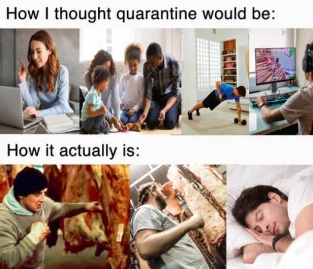 Bildschirmarbeiter - Picdump KW33 2020