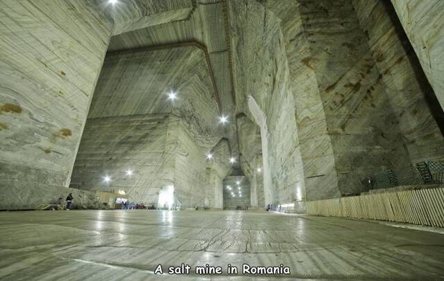 Bildschirmarbeiter - Picdump KW33 2020