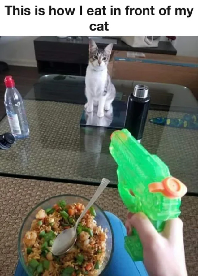 Bildschirmarbeiter - Picdump KW33 2021