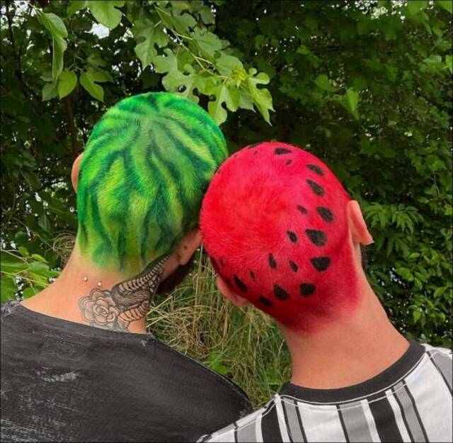 Bildschirmarbeiter - Picdump KW33 2021