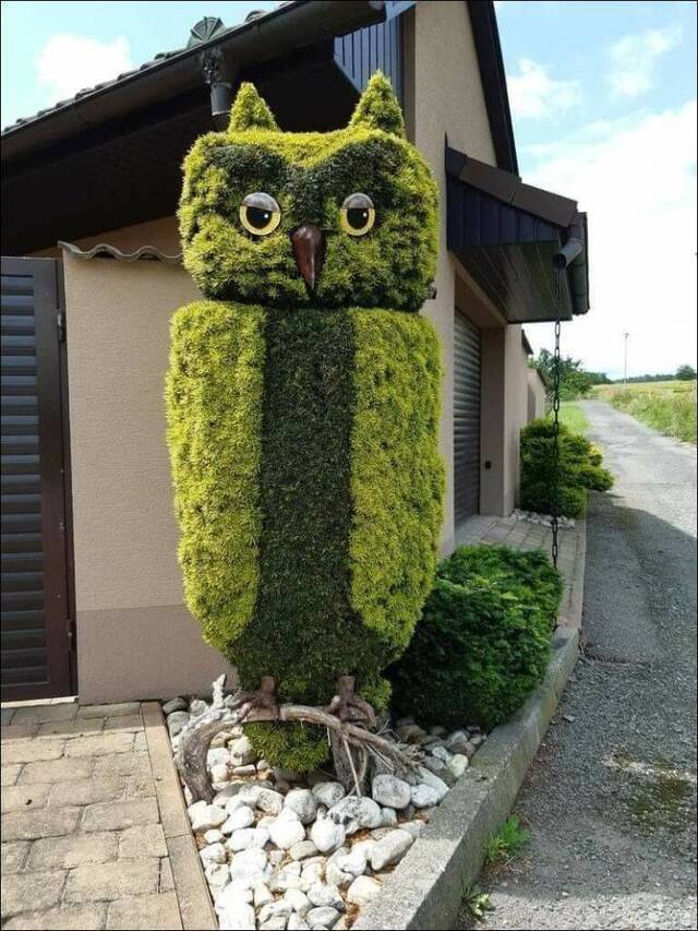 Bildschirmarbeiter - Picdump KW33 2021