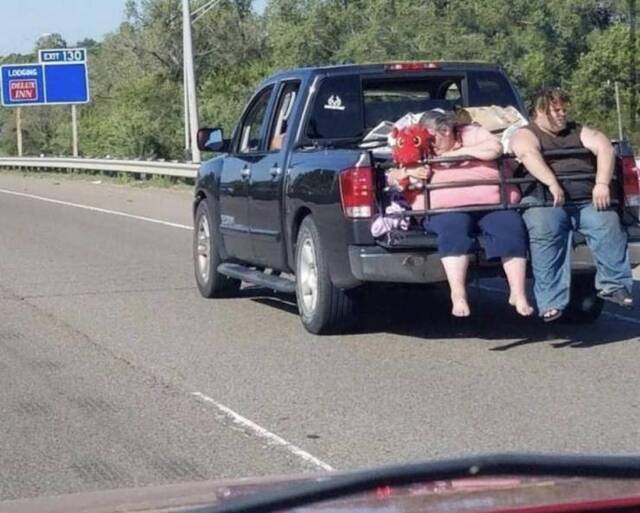 Bildschirmarbeiter - Picdump KW33 2021