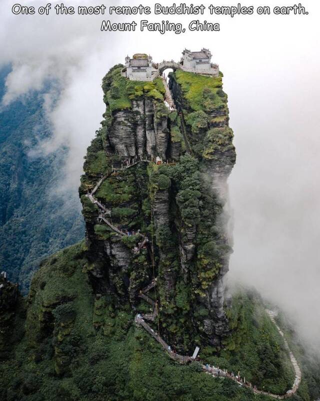 Bildschirmarbeiter - Picdump KW33 2021