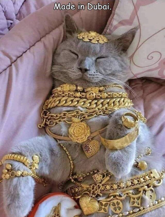 Bildschirmarbeiter - Picdump KW33 2021