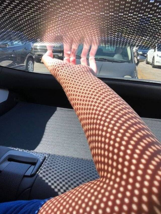 Bildschirmarbeiter - Picdump KW33 2021