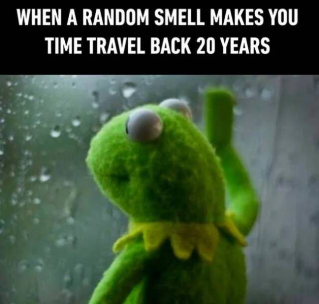 Bildschirmarbeiter - Picdump KW33 2021