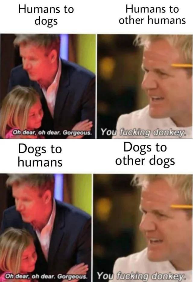 Bildschirmarbeiter - Picdump KW33 2021