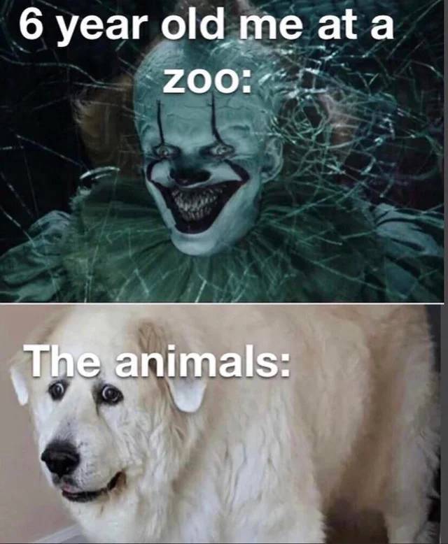 Bildschirmarbeiter - Picdump KW33 2021