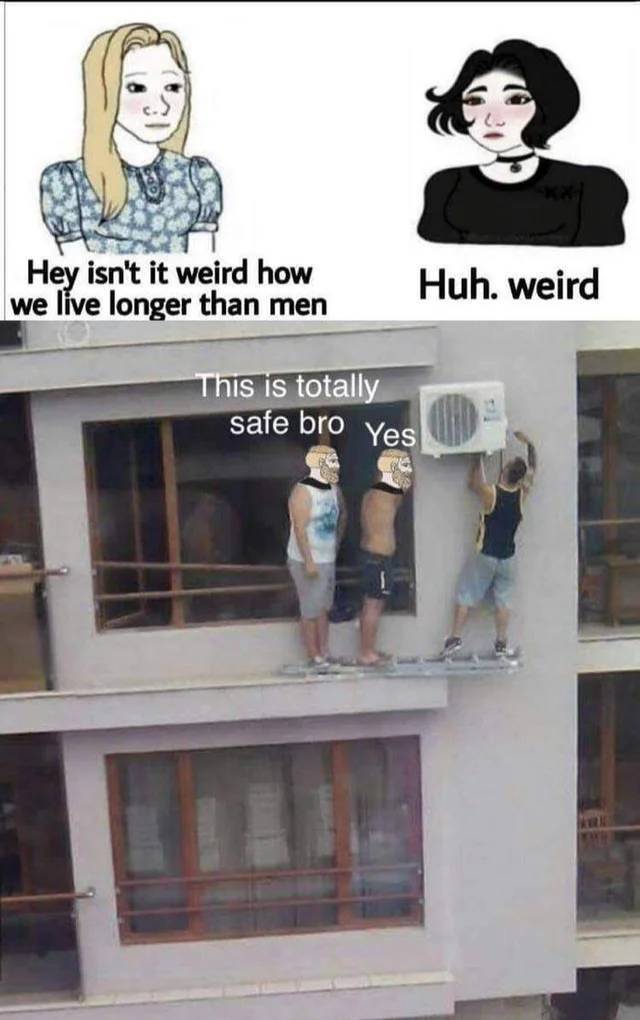 Bildschirmarbeiter - Picdump KW33 2021