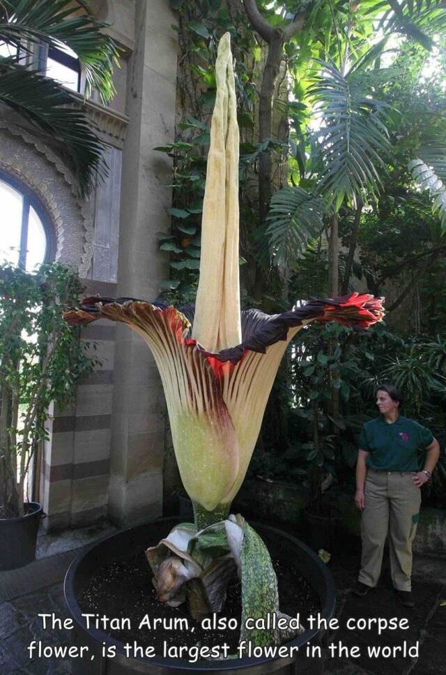 Bildschirmarbeiter - Picdump KW33 2021