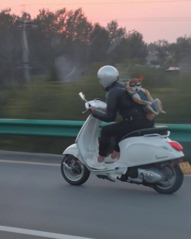 Bildschirmarbeiter - Picdump KW33 2021