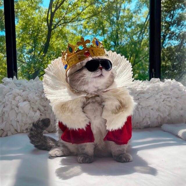 Bildschirmarbeiter - Picdump KW33 2021