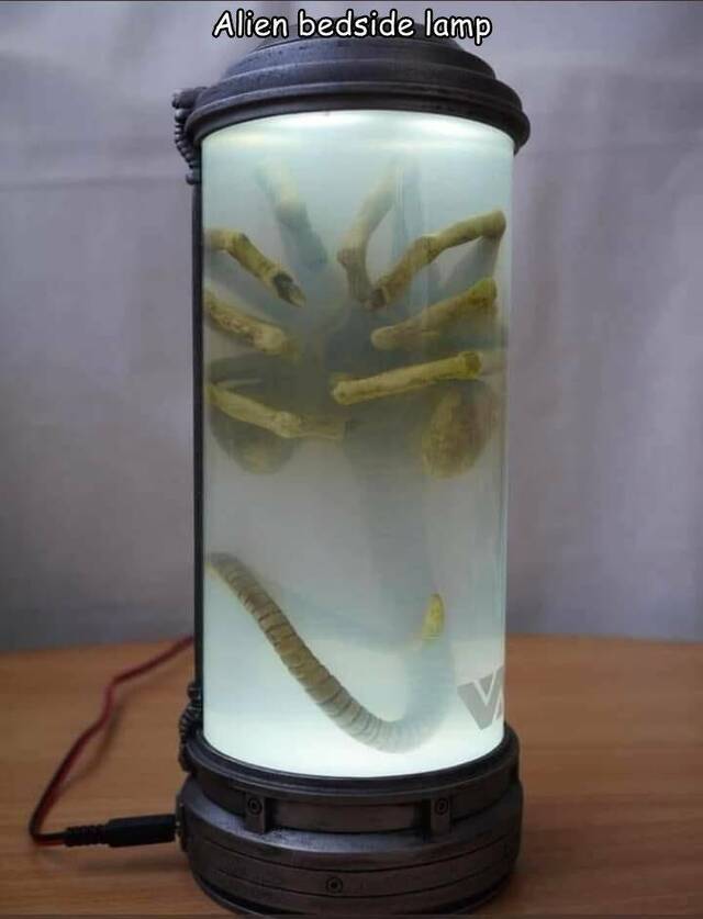 Nachschlag - Bildschirmarbeiter - Picdump KW 33/2022