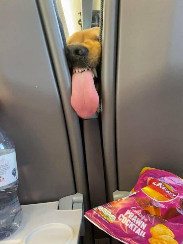 Nachschlag - Bildschirmarbeiter - Picdump KW 33/2022