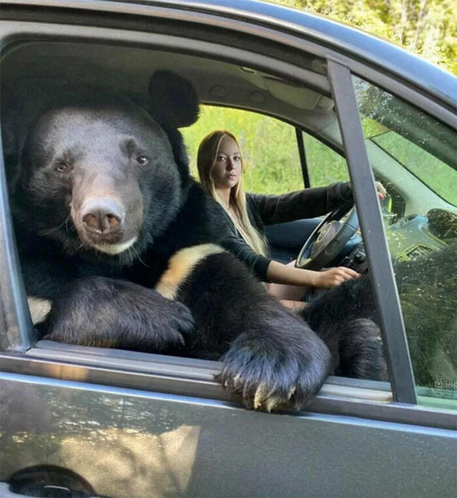 Nachschlag - Bildschirmarbeiter - Picdump KW 33/2022