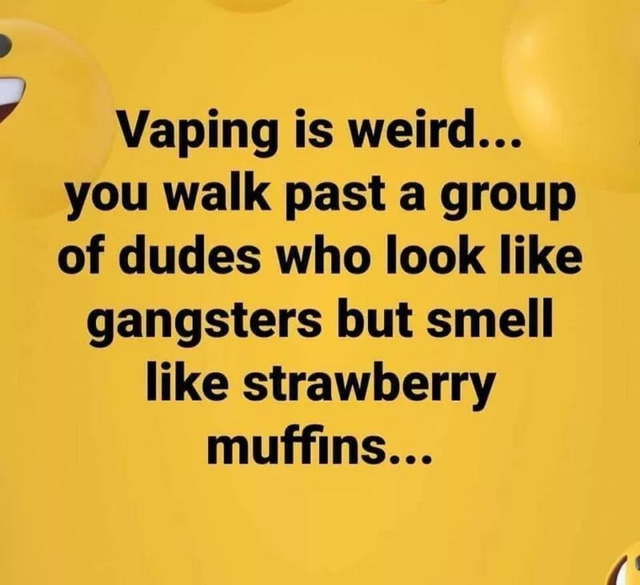 Nachschlag - Bildschirmarbeiter - Picdump KW 33/2022