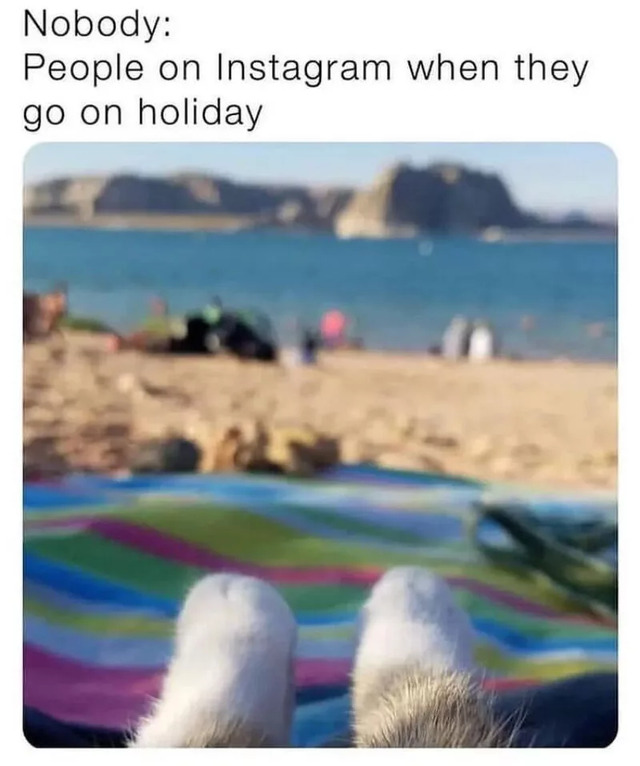 Nachschlag - Bildschirmarbeiter - Picdump KW 33/2022