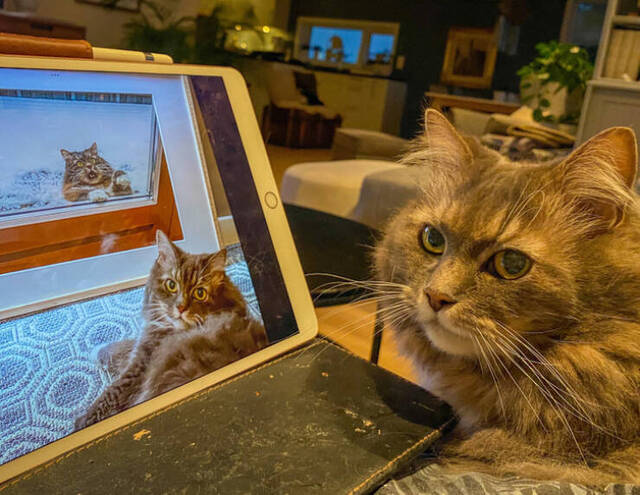 Nachschlag - Bildschirmarbeiter - Picdump KW 33/2022