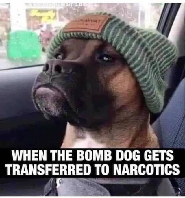 Nachschlag - Bildschirmarbeiter - Picdump KW 33/2022