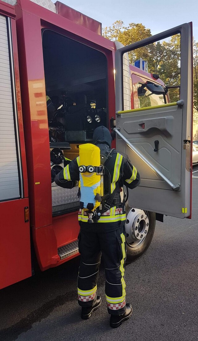 Bildschirmarbeiter - Picdump KW 33/2025