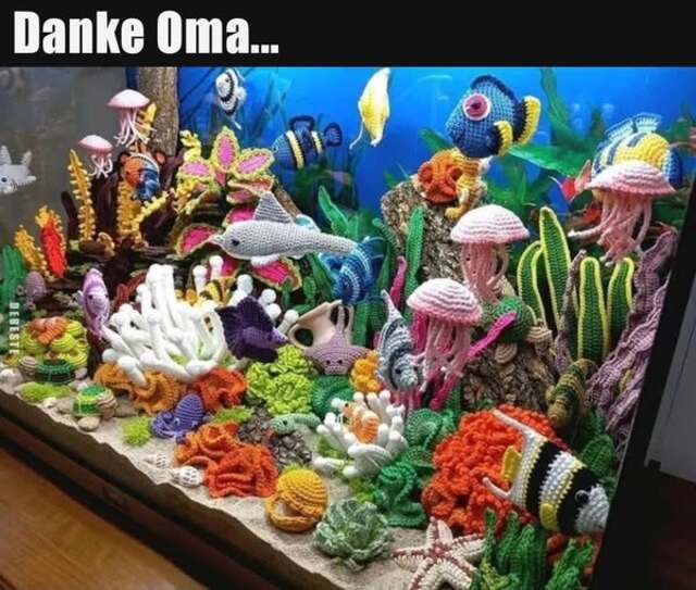 Bildschirmarbeiter - Picdump KW 33/2025