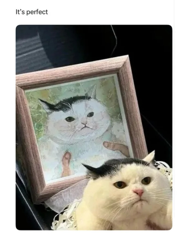 Bildschirmarbeiter - Picdump KW 33/2025