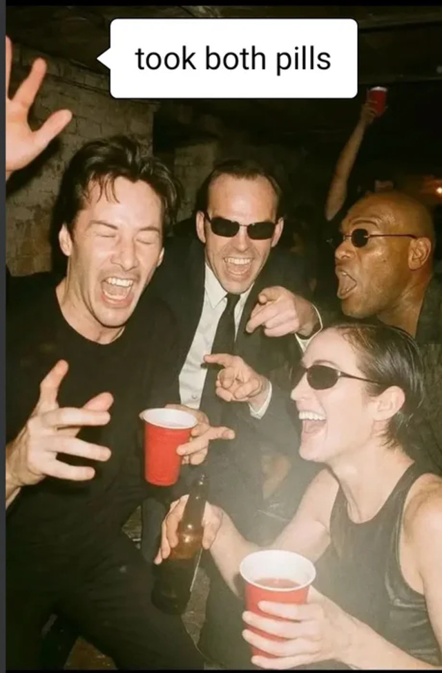 Bildschirmarbeiter - Picdump KW 33/2025