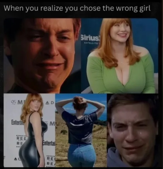 Bildschirmarbeiter - Picdump KW 33/2025