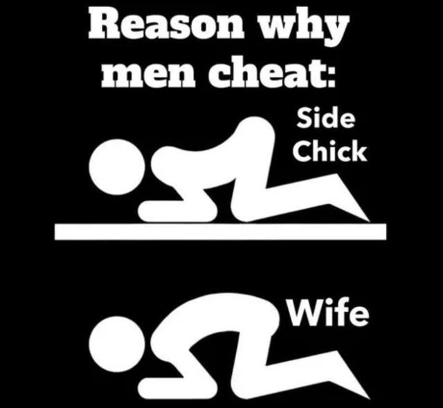 Bildschirmarbeiter - Picdump KW 33/2025