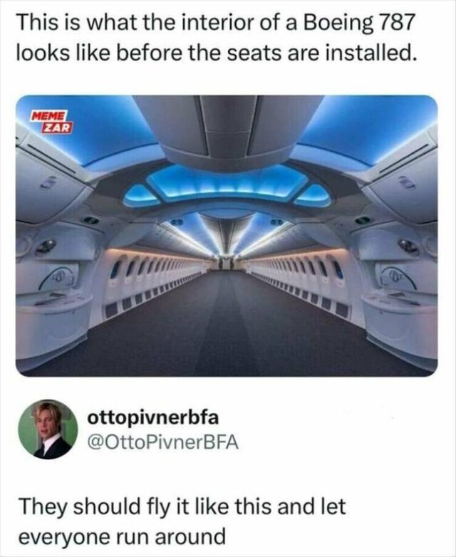 Bildschirmarbeiter - Picdump KW 33/2025