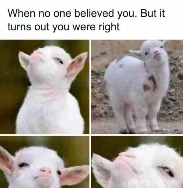 Bildschirmarbeiter - Picdump KW 33/2025