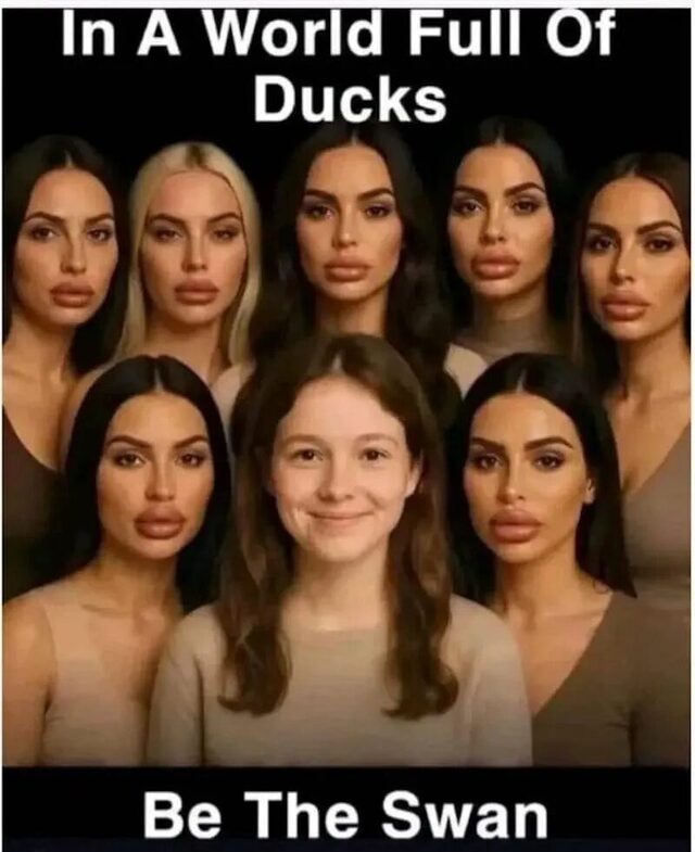 Bildschirmarbeiter - Picdump KW 33/2025