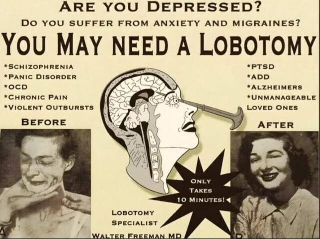 Bildschirmarbeiter - Picdump KW 33/2025