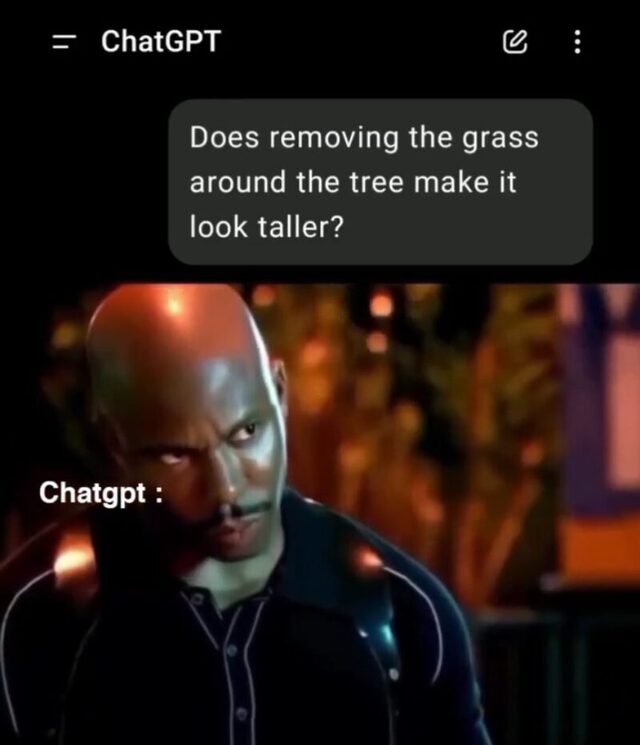 Bildschirmarbeiter - Picdump KW 33/2025