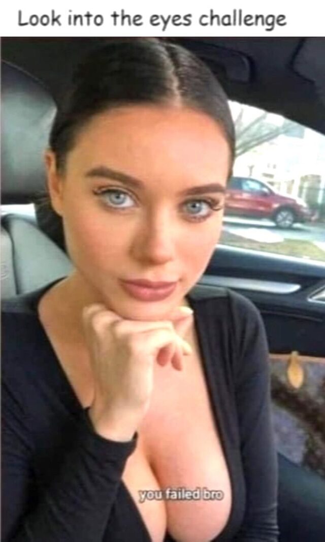 Bildschirmarbeiter - Picdump KW 33/2025