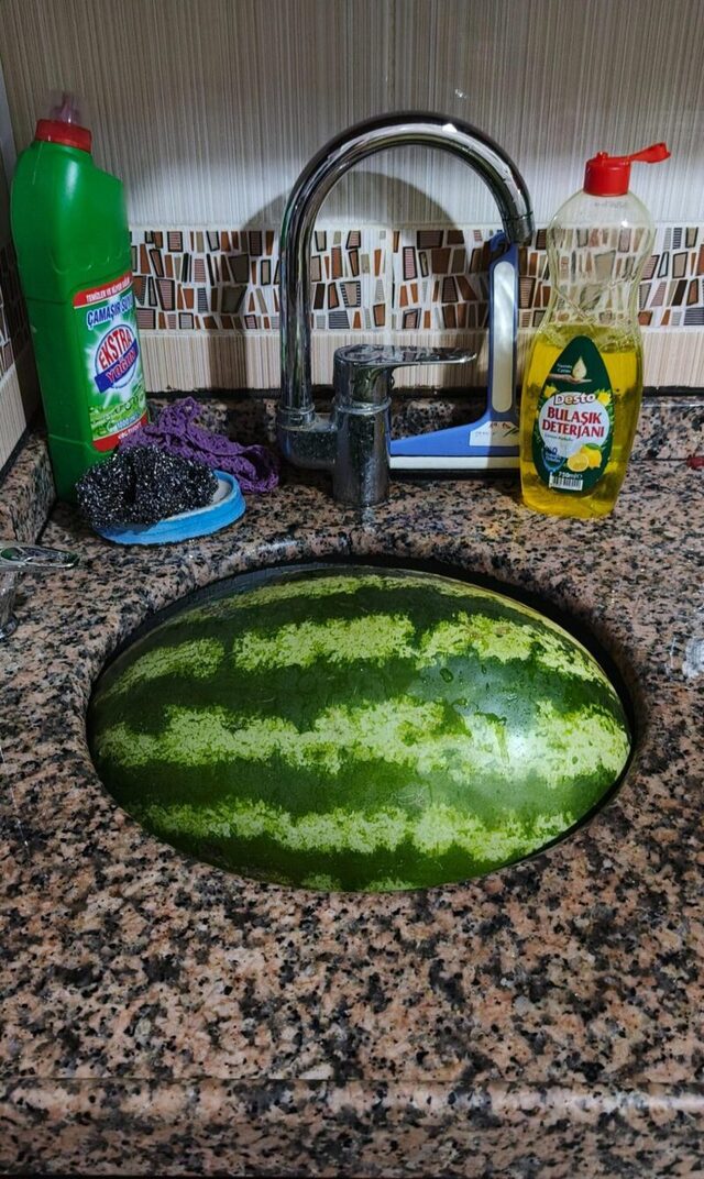 Bildschirmarbeiter - Picdump KW 33/2025