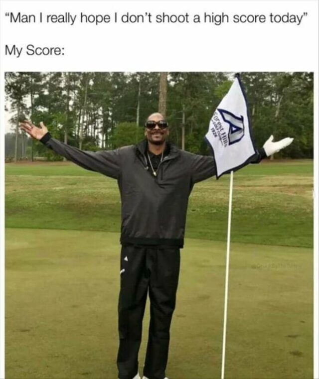 Bildschirmarbeiter - Picdump KW 33/2025