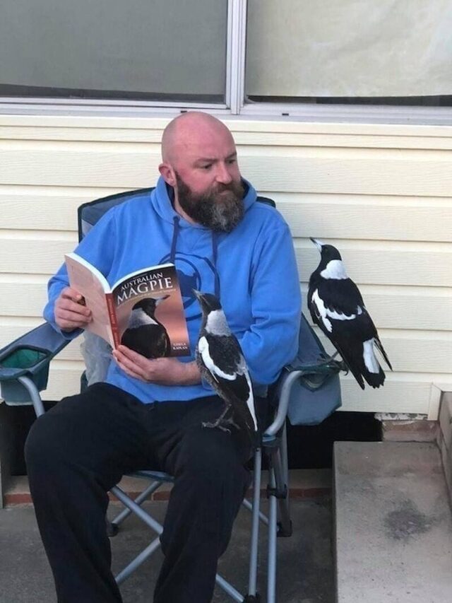 Bildschirmarbeiter - Picdump KW 33/2025