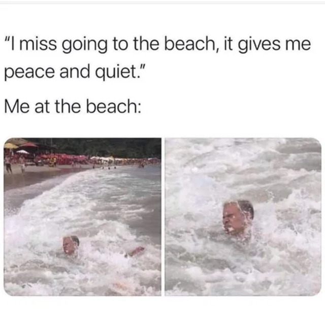 Bildschirmarbeiter - Picdump KW 33/2025