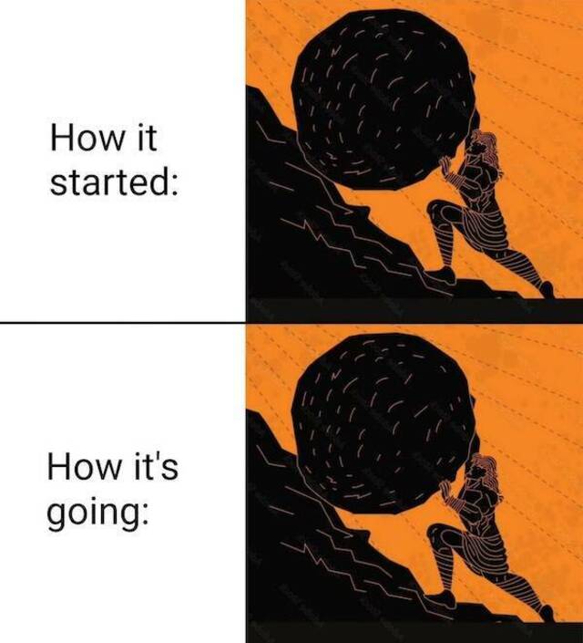 Bildschirmarbeiter - Picdump KW 33/2025