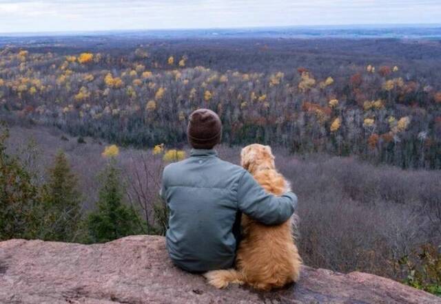 Bildschirmarbeiter - Picdump KW 33/2025