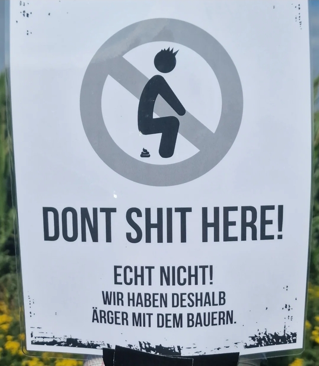 Bildschirmarbeiter - Picdump KW 33/2025