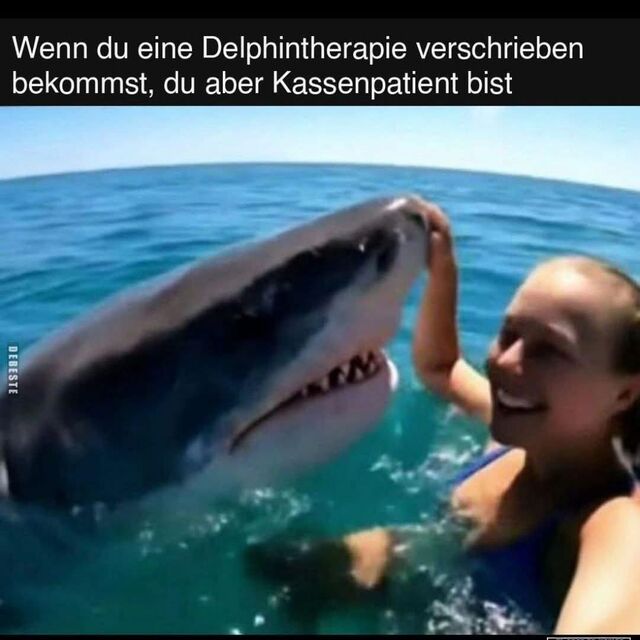 Bildschirmarbeiter - Picdump KW 33/2025