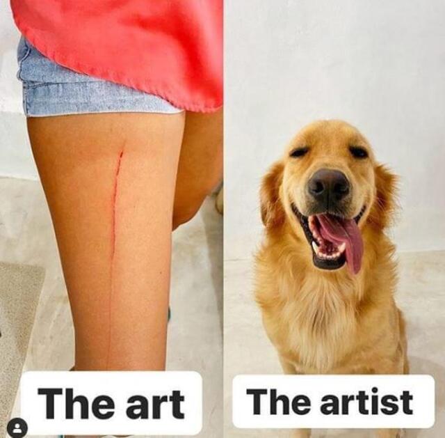 Nachschlag - Bildschirmarbeiter - Picdump KW34 2020