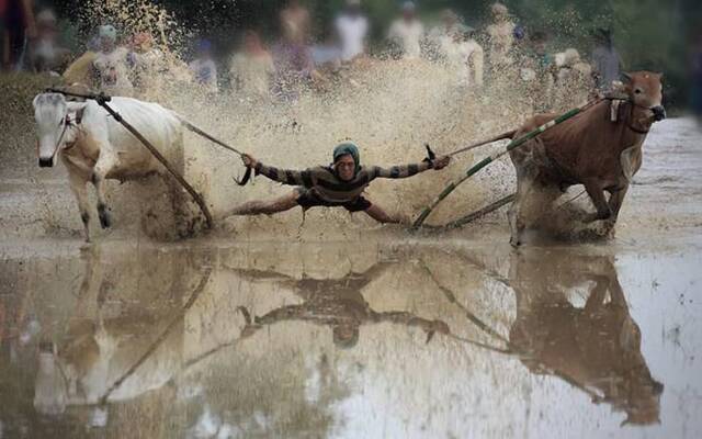 Nachschlag - Bildschirmarbeiter - Picdump KW34 2020