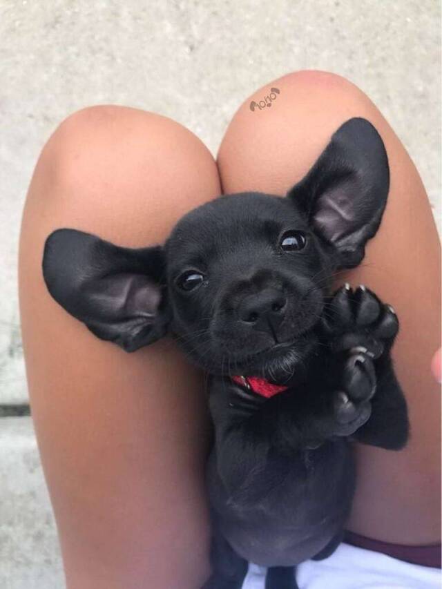 Nachschlag - Bildschirmarbeiter - Picdump KW34 2020