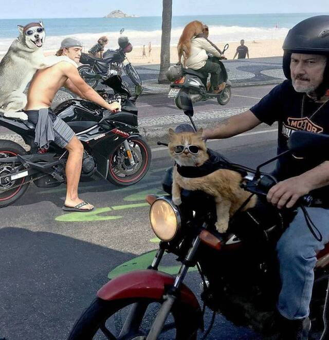 Nachschlag - Bildschirmarbeiter - Picdump KW34 2020