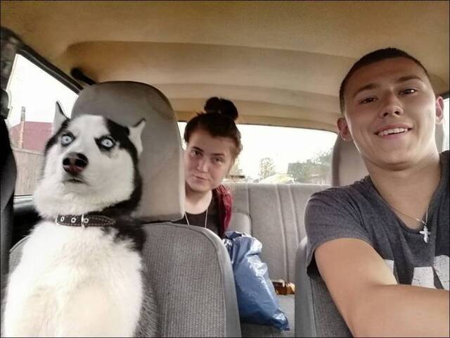 Nachschlag - Bildschirmarbeiter - Picdump KW34 2020