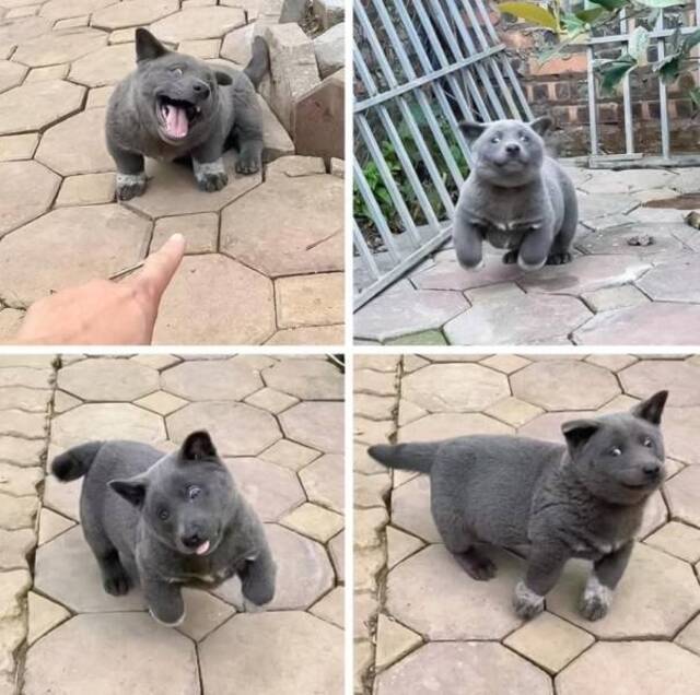 Nachschlag - Bildschirmarbeiter - Picdump KW34 2020