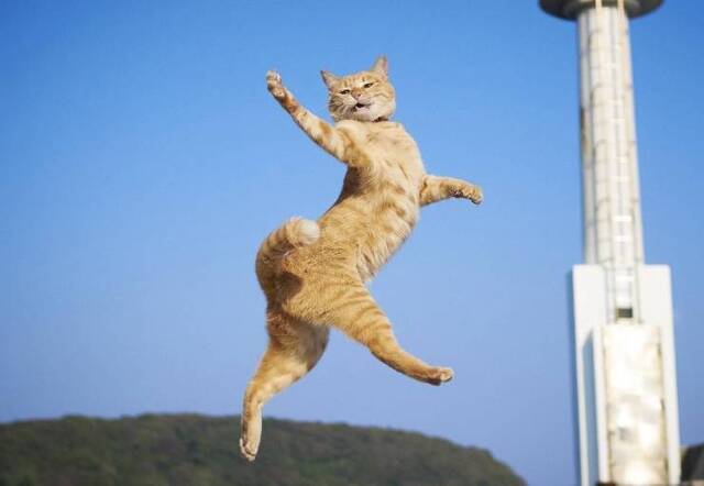 Nachschlag - Bildschirmarbeiter - Picdump KW34 2020